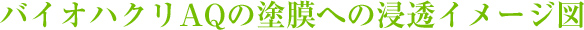バイオハクリAQの塗膜への浸透イメージ図